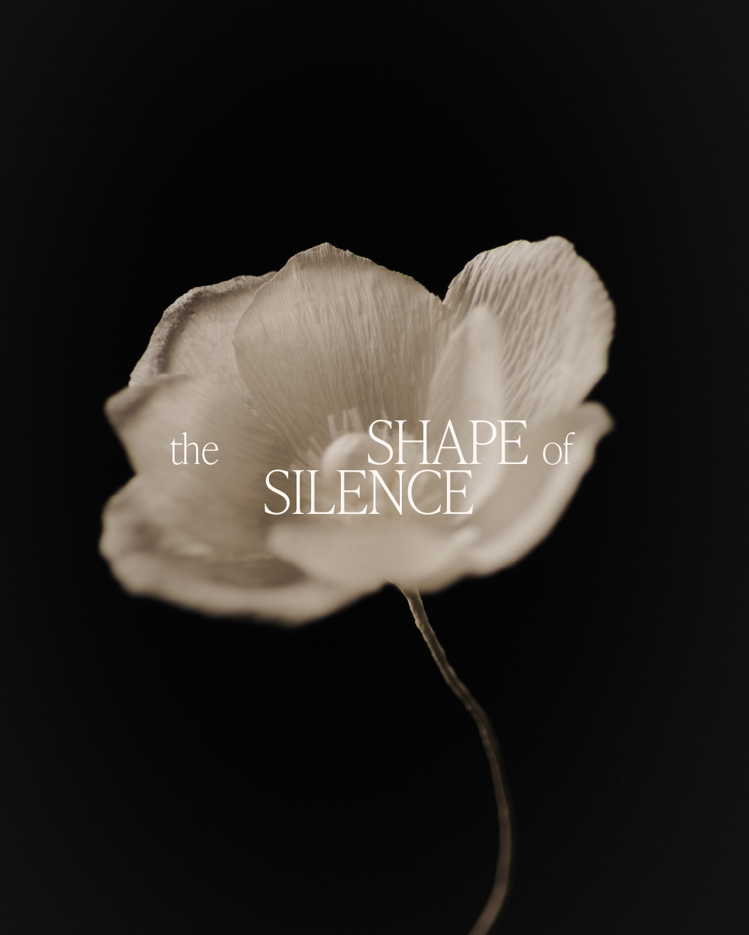 El silencio se convierte en forma en Fuorisalone 2026